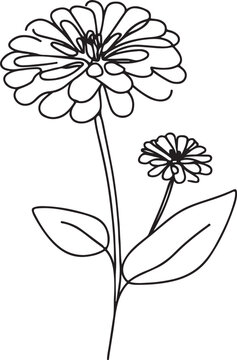 line art zinnia flowers on stems clip art preview