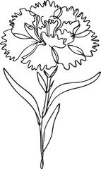 Stunning Line Art of Dianthus Flower – Perfect for Graphic Projects