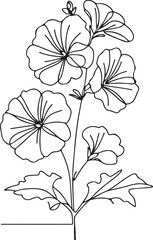 Hollyhock Flower Vector Art – Detailed Line Drawing on White Background
