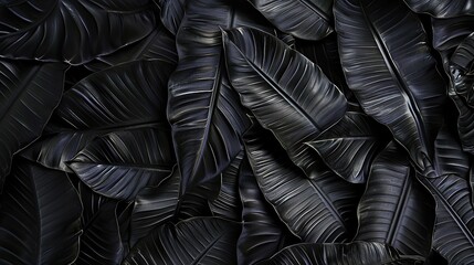 Obraz premium Abstract black leaf texture background