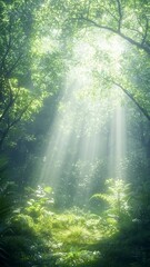 Obraz premium Lush forests undergrowth lushness concept. A serene forest scene with soft sunlight filtering through lush green foliage, creating a tranquil and magical atmosphere.
