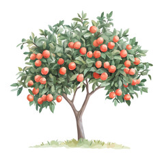 Cupuaçu Tree with Fruit | Rich Watercolor Botanical Composition.  
