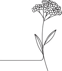 Obraz premium Simple Verbena Flower Line Drawing for Vector Art