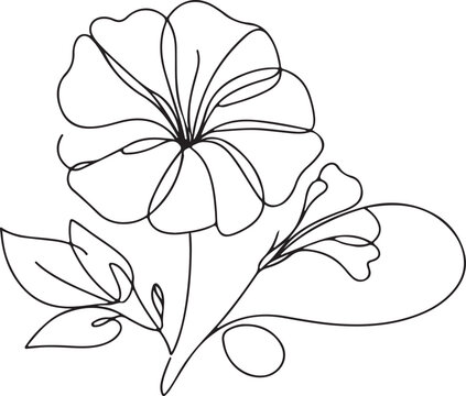 recommend clip art: Artistic Petunia Flower Line Drawing Vector – A Floral Design Inspiration