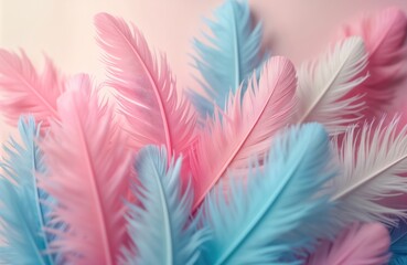 Fototapeta premium Pastel pink, blue feathers create delicate soft texture. Delicate feathers form colorful background. Beautiful colors perfect for wedding invitation wallpaper. Top view close-up. Fluffy, smooth bird