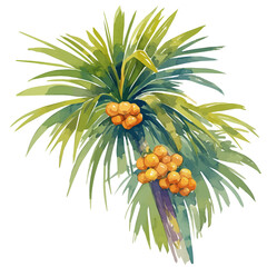 Doum Palm with Fruit | Unique Watercolor Botanical Illustration.  
