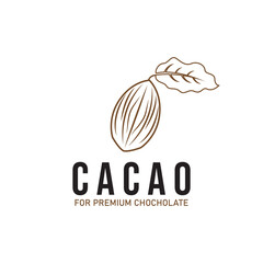 cacao cocoa chochoclate logo icon vector design