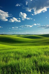 Obraz premium Tranquil and Picturesque Rolling Hills Beneath a Bright and Sunny Sky Filled with Fluffy White Clouds