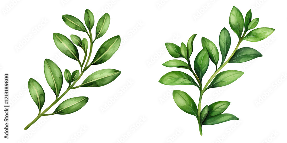 Poster a pair of green leaves with varying shapes and sizes, showcasing detailed textures and vibrant color