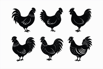 Set of chicken vector illustration