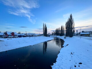 Winter landscape with a river and poplars on the shore