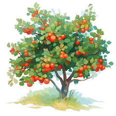 Hawthorn Tree with Fruit – Delicate Watercolor Vector Illustration for Artistic Creations  
