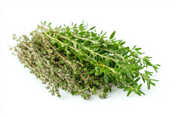 rosemary isolated on white background