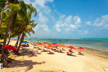 maceio praia tropical