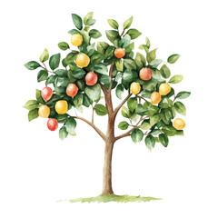 Huito Tree with Fruit – Rich Watercolor Vector Illustration for Artistic Creations  
