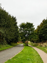Country road going into the distance. Beautiful landscape
