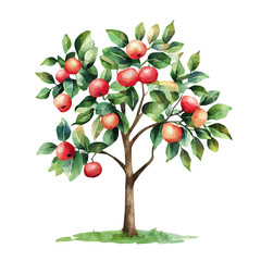 Java Apple Tree with Fruit &ndash; Exotic Watercolor Vector Illustration for Artistic Creations  

