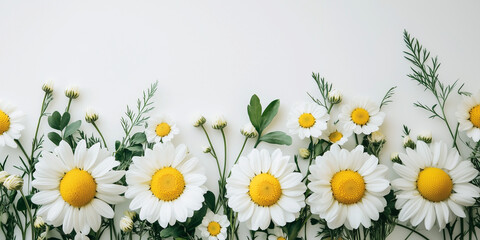 Fototapeta premium bouquet of white daisies with a yellow core. soft spring flat lay 