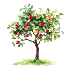 Kei Apple Tree with Fruit – Watercolor Illustration, Vibrant Botanical Art, Hand-painted Kei Apple Tree, Nature-inspired Watercolor Vector Design  
