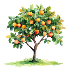 Tropical Langsat Tree with Fruits – Stunning Watercolor Vector Artwork, Detailed Botanical Painting, Nature’s Bounty in Hand-painted Watercolor Vector Style  






