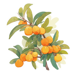 Loquat Tree with Fruit – Bright Watercolor Vector Illustration for Artistic Designs  
