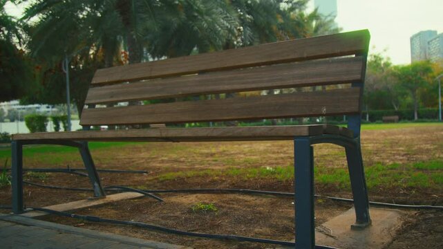 Bench in the park