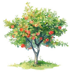 Malay Apple Tree with Fruit &ndash; Lush Watercolor Vector Illustration for Artistic Designs  
