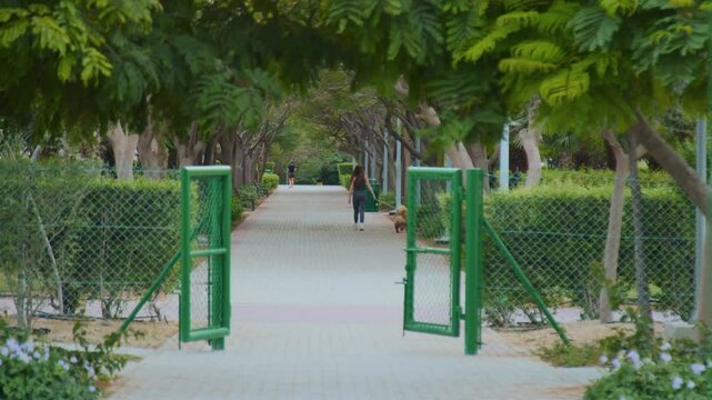 girl walking a dog in the park