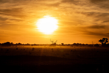 Atardecer