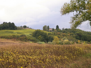 Tuscan field on a cloudy day