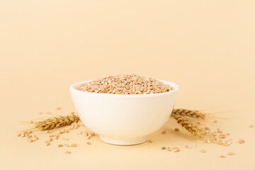Bowl with spelt grain and ears on color background