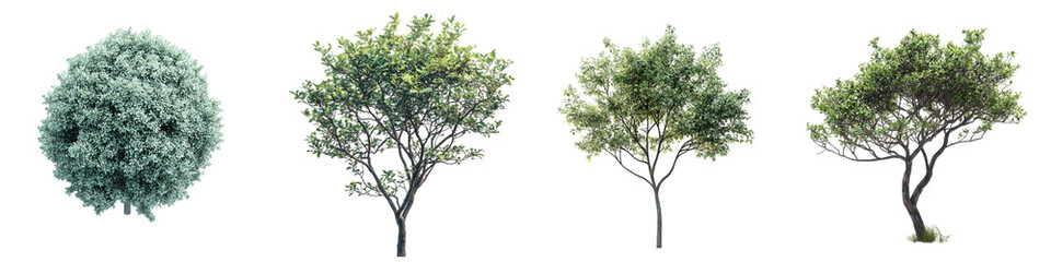 Obraz premium Realistic 3D Tree PNG Set – High-Resolution Isolated Trees for Landscaping & Design - Isolated on Transparent Background