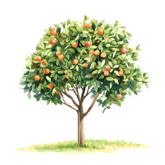 Pili Tree with Fruit | Artistic Watercolor-Style Flat Vector Design.  
