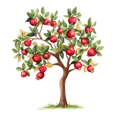 Pomegranate Tree with Fruit | Hand-Painted Watercolor Flat Vector Art.  
