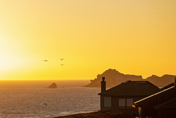 Sunset over the ocean with silhouettes of birds flying near coastal cliffs