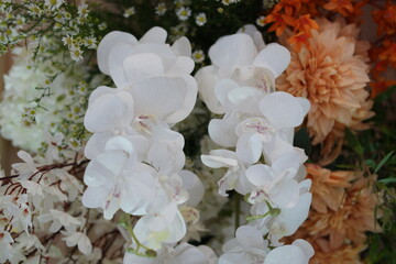 Elegant White Orchids in a Floral Arrangement