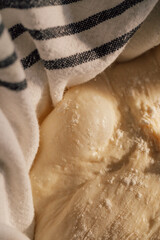 raw dough resting in cloth