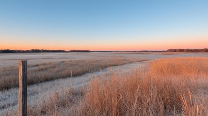 Frosty sunrise over vast golden field, tranquil landscape, peaceful dawn. Use Calming nature background