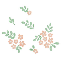 set of flowers peach digital watercolor