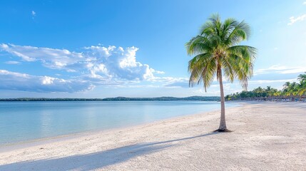 Lone palm tree on tropical beach, calm sea, sunny sky; travel brochure