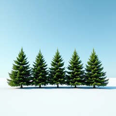 Obraz premium Evergreen trees with needle-like leaves and conical shape