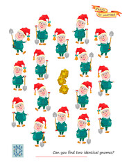 Logic puzzle for children and adults. Game Seek and Find. Can you find two identical gnomes? Page for kids brain teaser book. Task for attentiveness.  IQ test. Play online. Flat vector illustration.