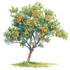 Fototapeta premium Umbu Tree with Fruit – Watercolor Illustration, Botanical Art, Fruit-bearing Tree Painting, Nature-inspired Artwork, Vibrant Watercolor Tree with Umbu Fruits 