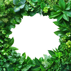 Fototapeta premium Lush greenery framing a blank cutout space surrounded by vibrant plants isolated on transparent background 