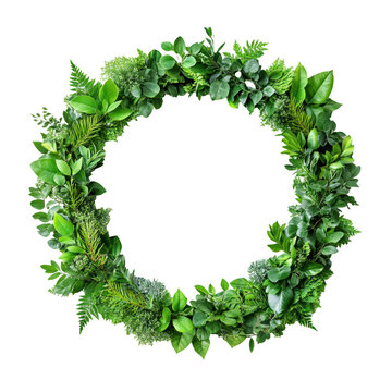 Lush round garden frame with vibrant green foliage for indoor decor isolated on transparent background 