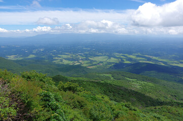 夏山からの眺め