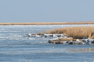 Large chunks of ice broken off from a larger sheet float along the shallow mud flat delta and brackish wetland river ecosystem with dried brown grass lining the banks in the frozen cold winter months