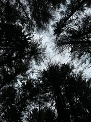 Obraz premium Camping on 2 wheels