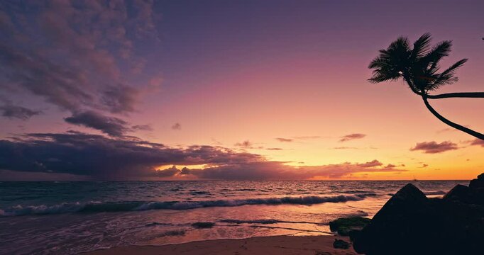 Sunrise Landscape of Caribbean Sea shore and exotic island beach with palm tree and rocks