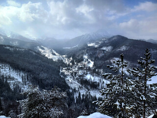 Snow-covered mountain valley with pine forests
